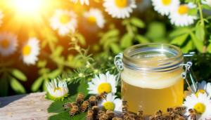 Para qué sirve la jalea real